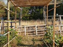 20200915_100737.jpg